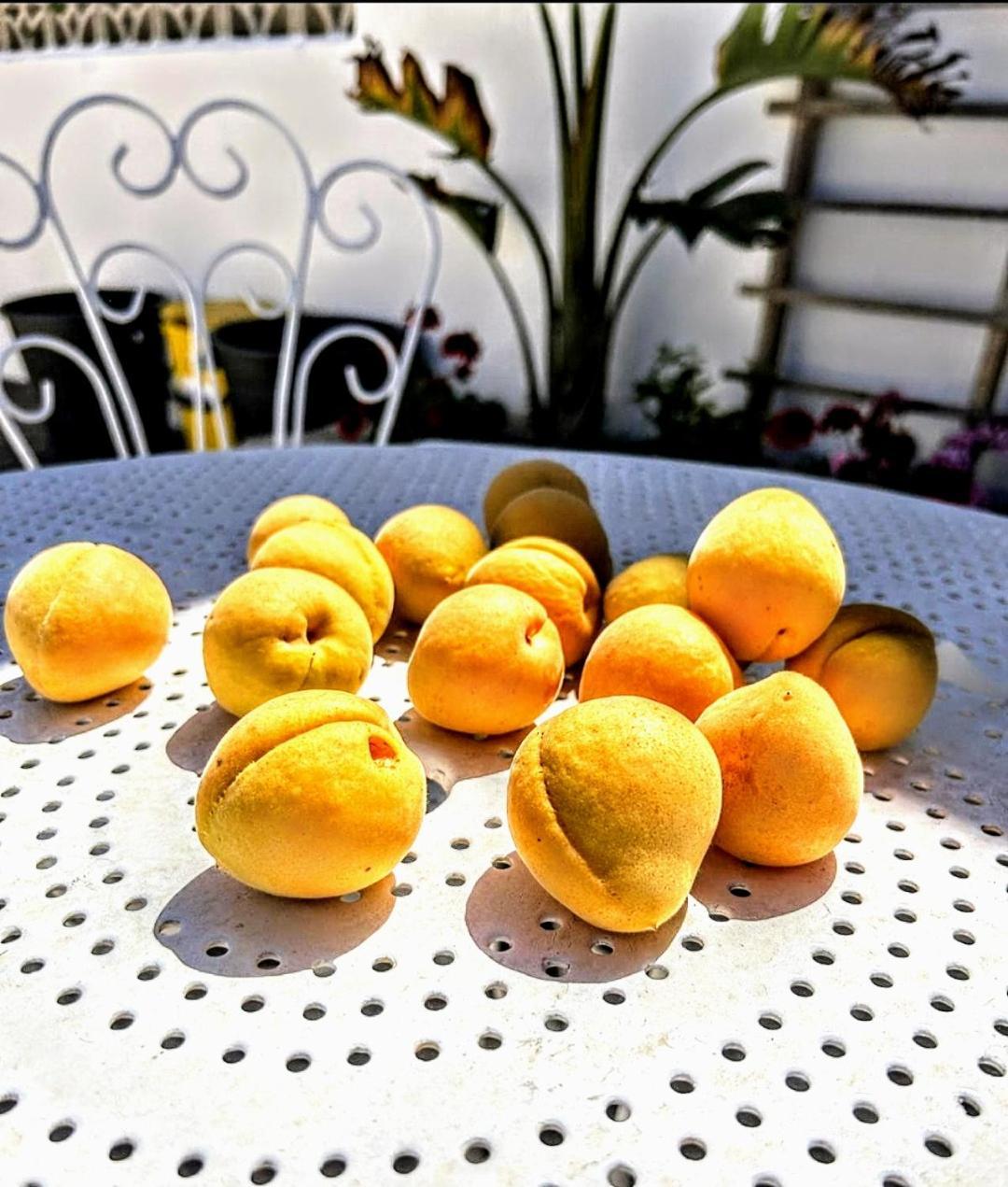 Casa Dei Frutti Di Ostuni Apartment ภายนอก รูปภาพ